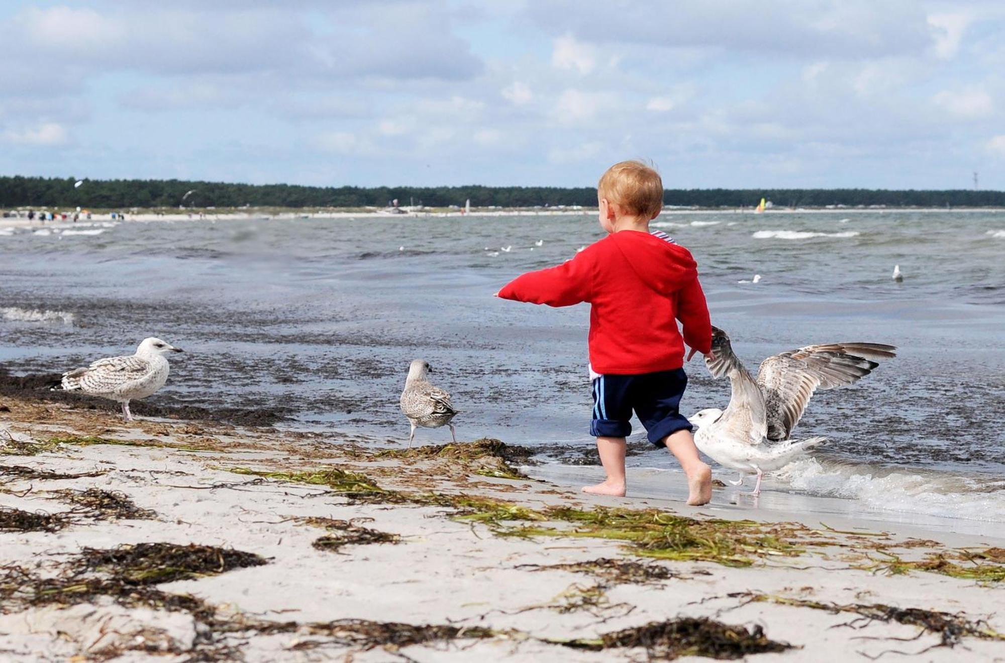 Kleine Freiheit An Der Seebruecke Zingst Zewnętrze zdjęcie