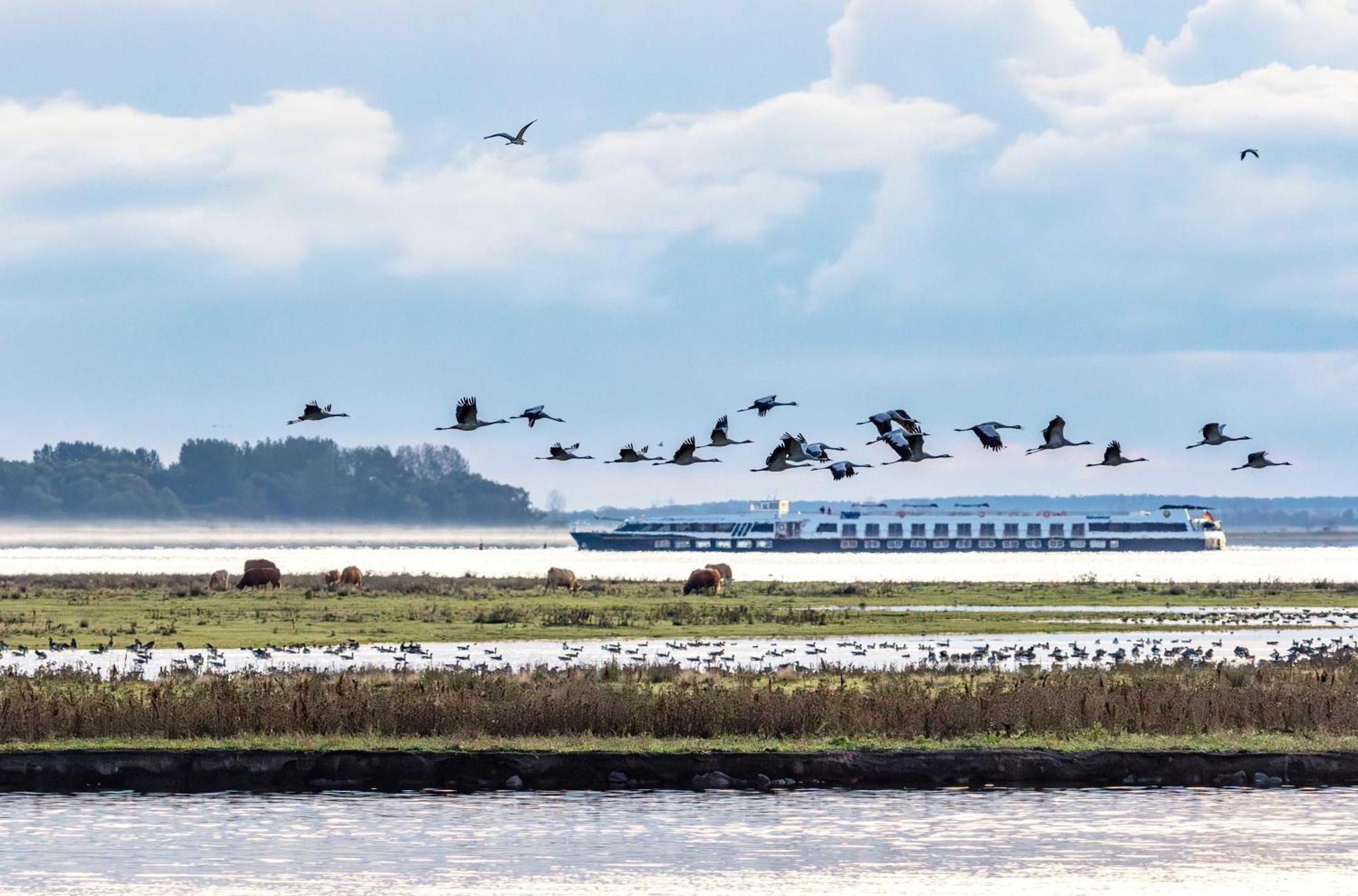 Kleine Freiheit An Der Seebruecke Zingst Zewnętrze zdjęcie